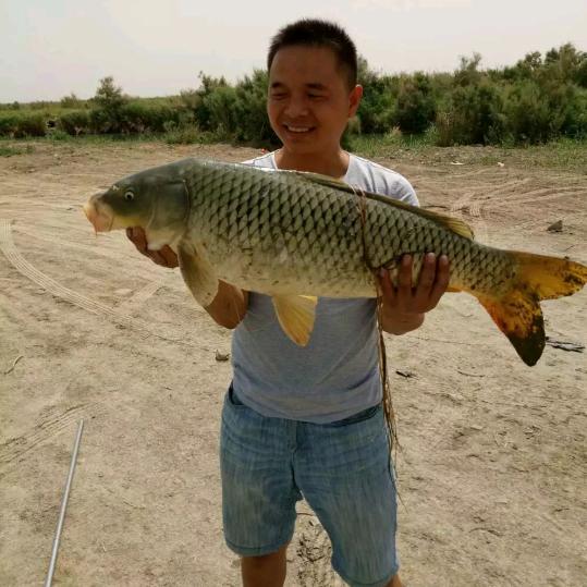 白水人