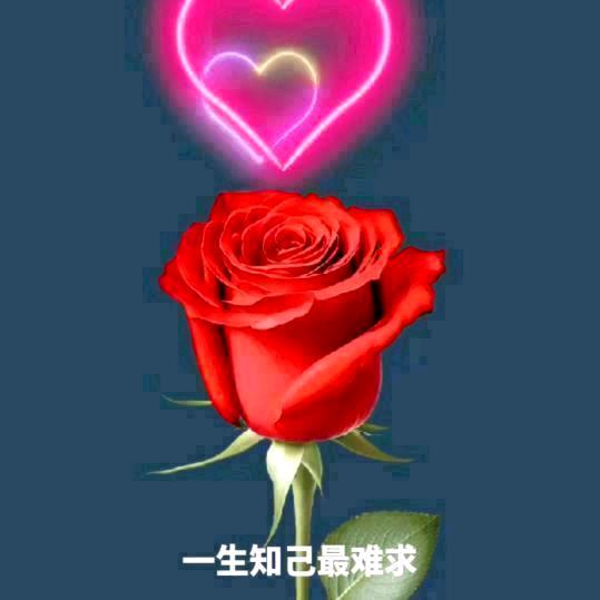 ঞᩚ💞余生ℒℴѵℯდ᭄随心ঞᩚ💞