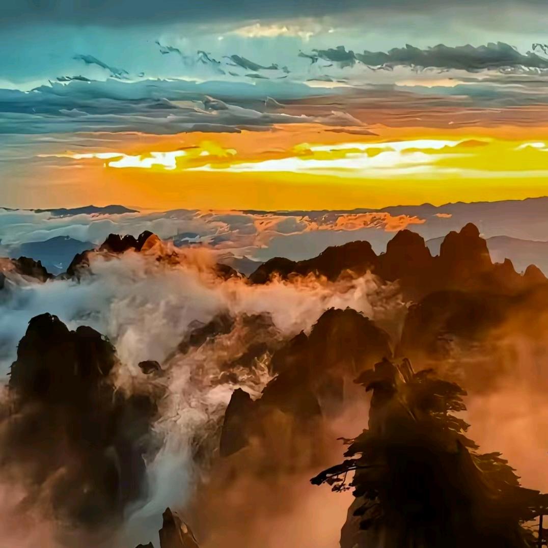 与💰同行ヾ💋