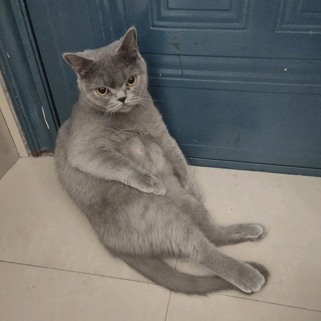 小叶叶百货铺子