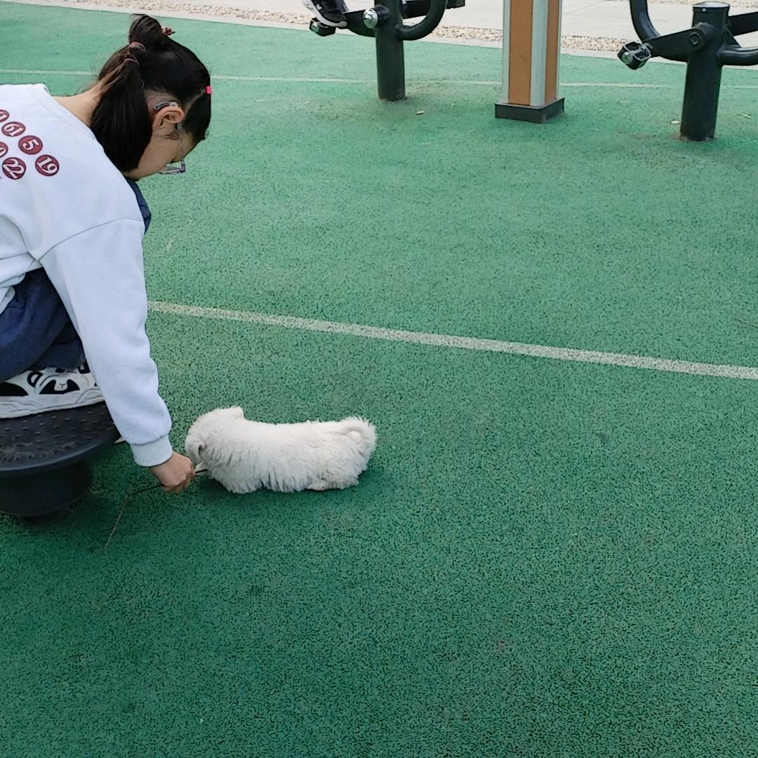 相信你会帮我开直播，谢谢你的慈善夸奖我