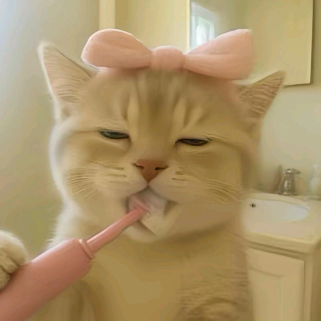 厥头像