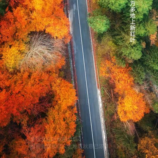 快达生活快达易购