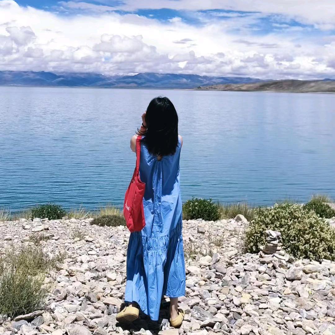 一头可爱的精致🐻
