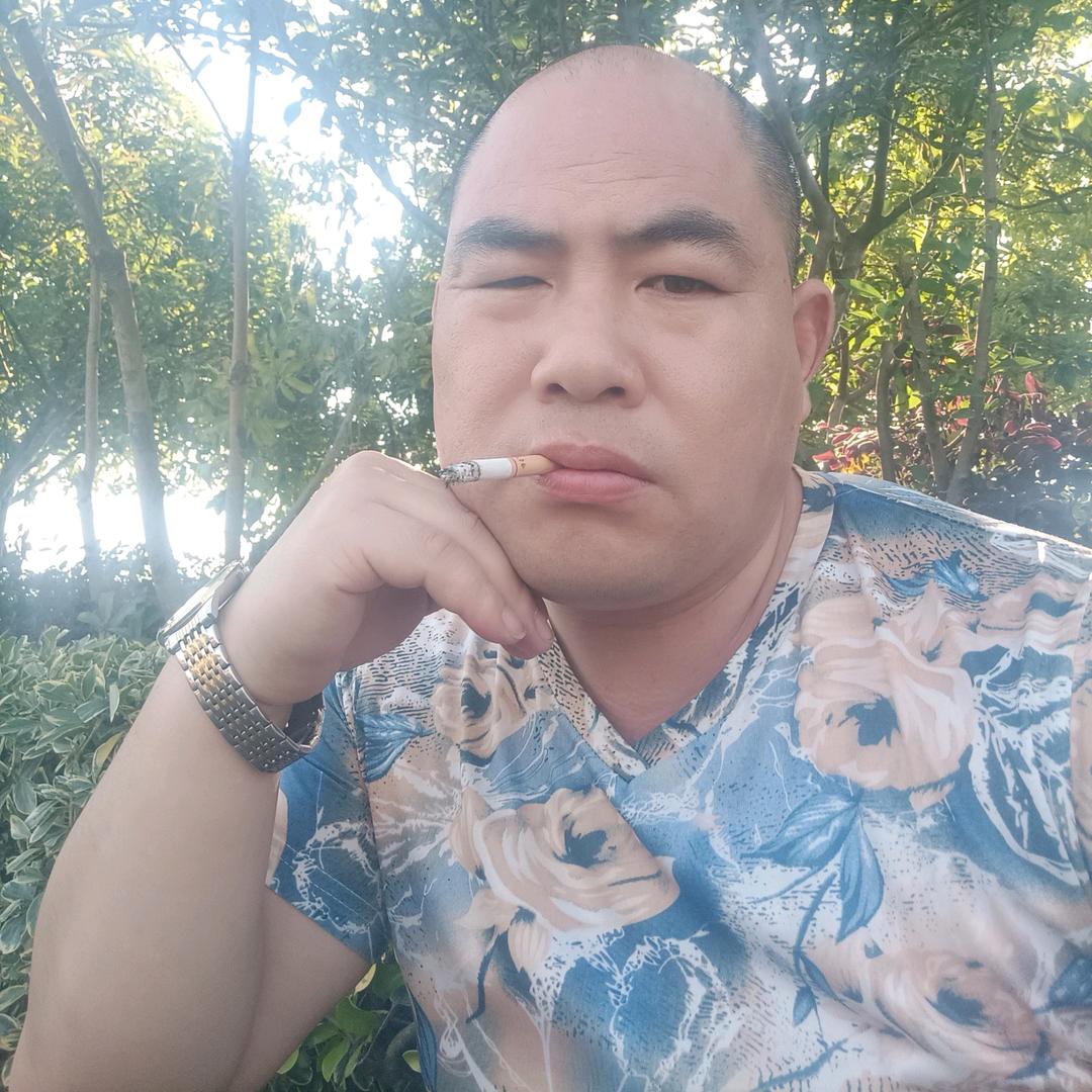 豫张杨