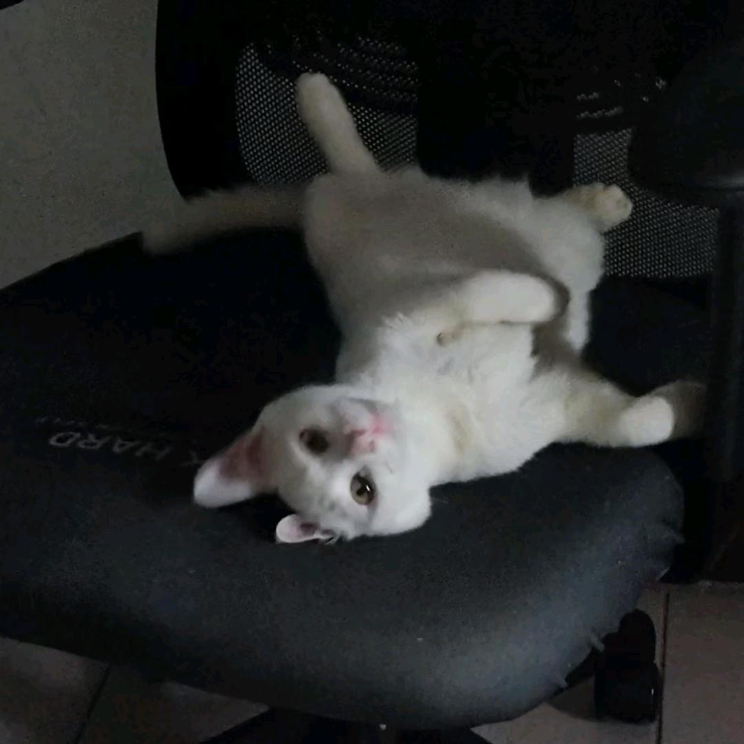 给我十吨水泥