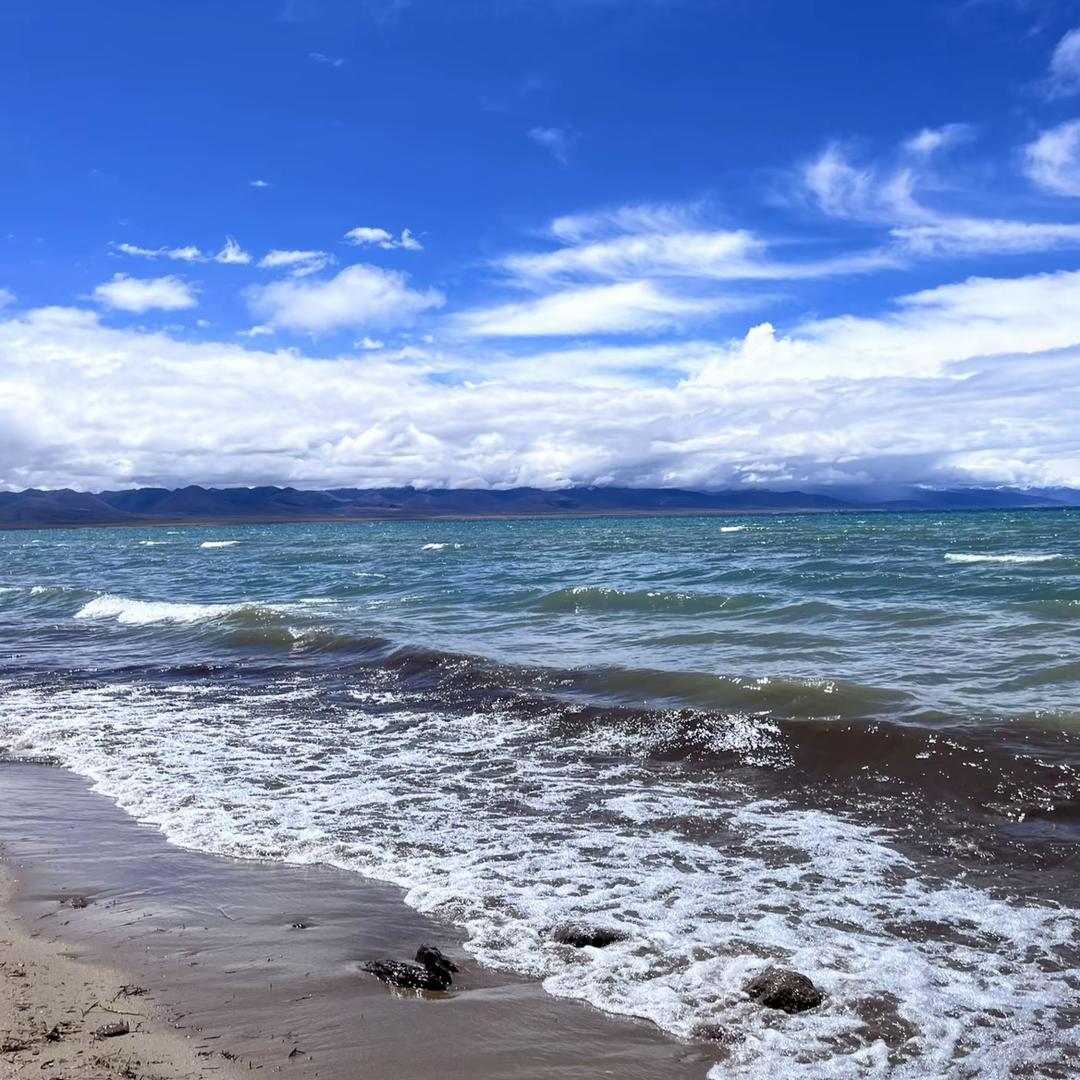 滁州人在合肥  ,