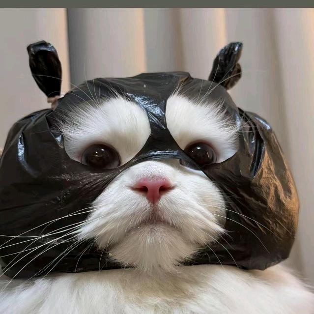小P