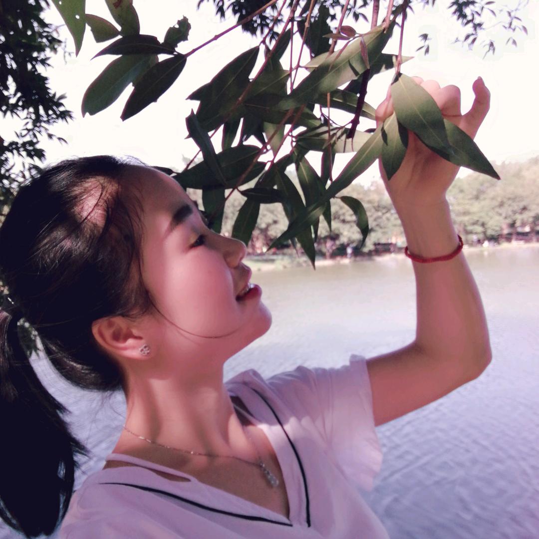 小鑫鑫