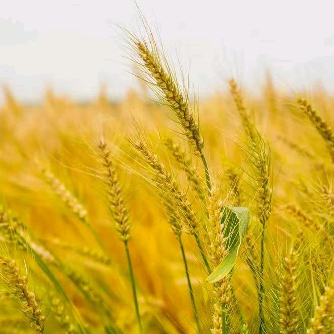 拓源五金工具优选