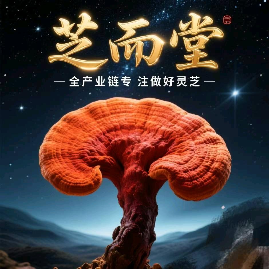 优品客轻奢男装