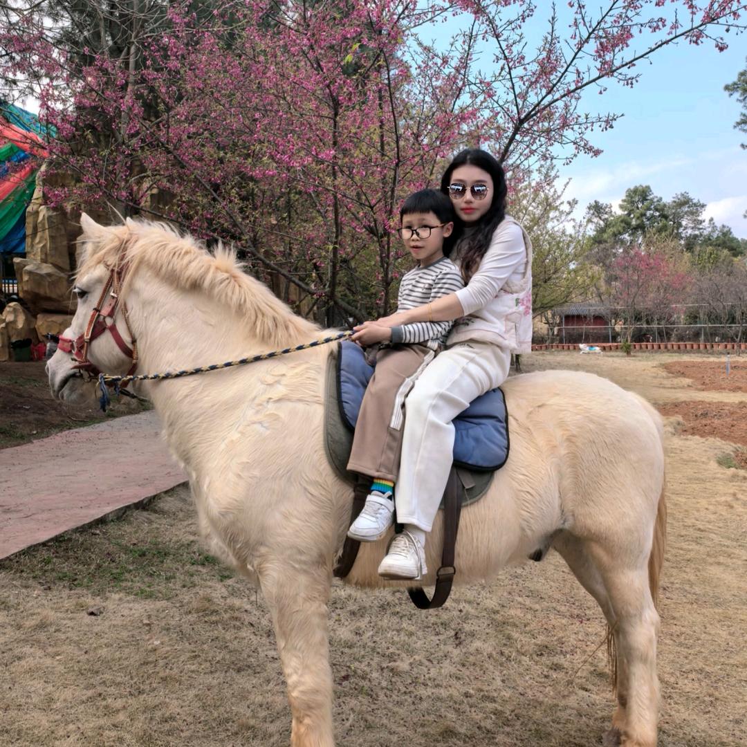 燕燕（好物分享）