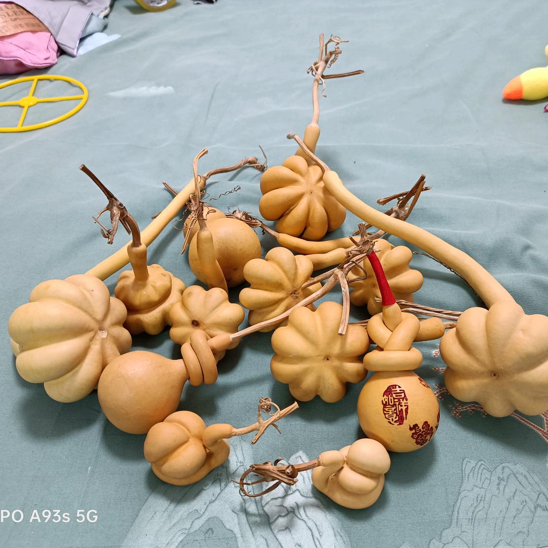 雅葫轩主（直播号）