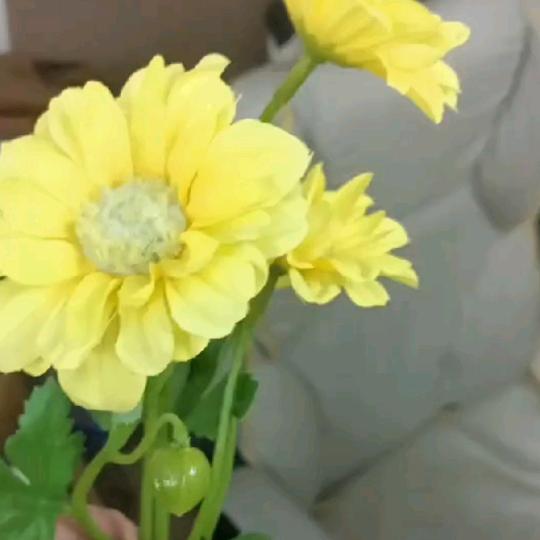 有缘来相会