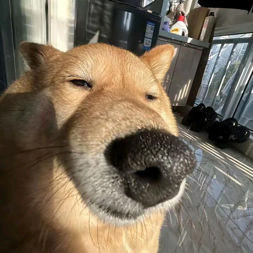 冰心陈生