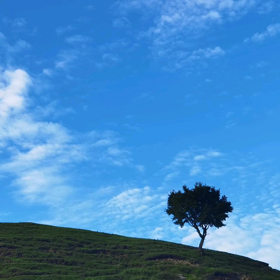 王不拦拦