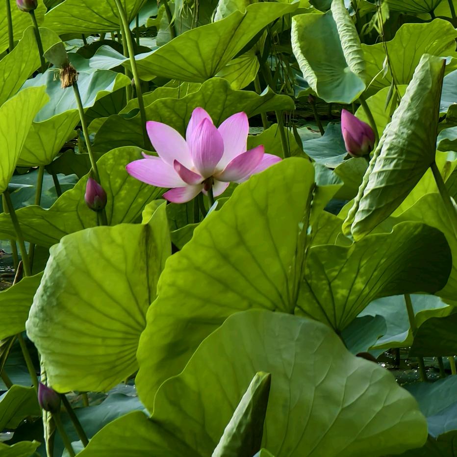 顺风顺水