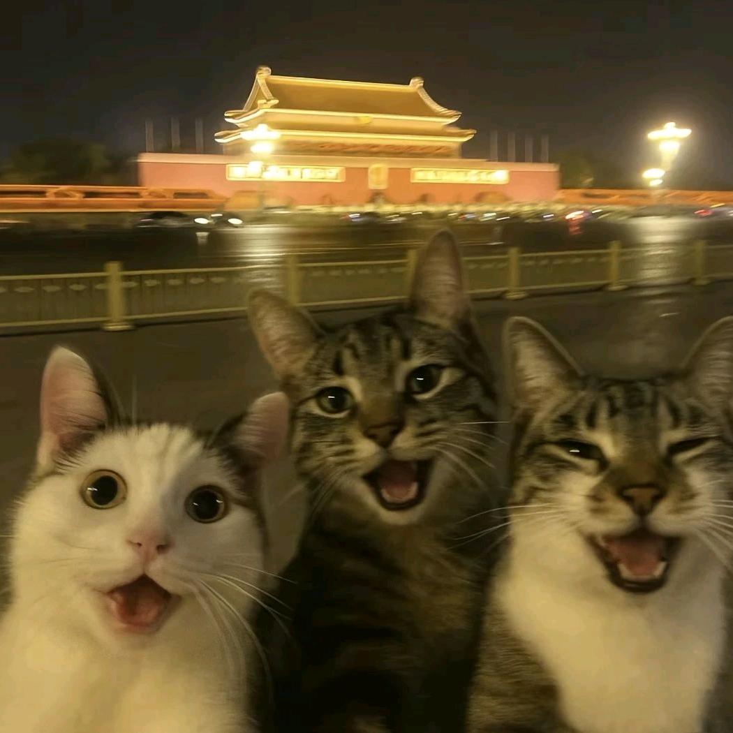 과 차