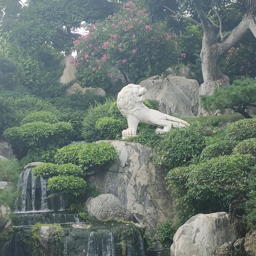 晨光（心旷神怡）