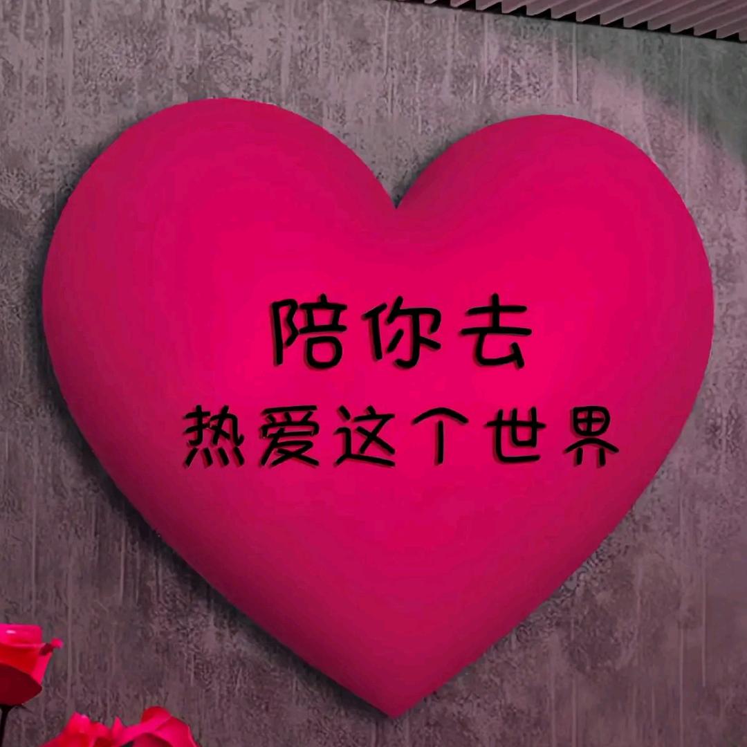 大龙巨划算