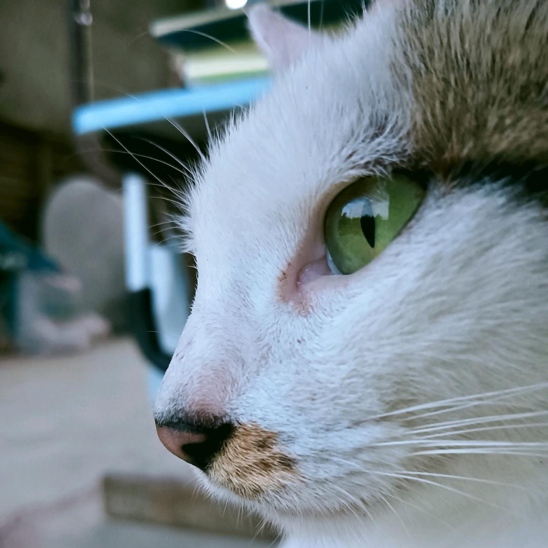 生查子（备考版）