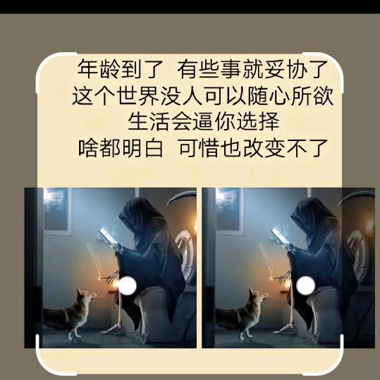 a  ꦿ一碗小米Zhou࿐