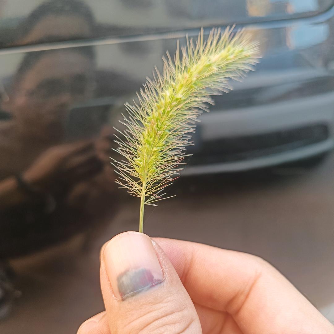 清风明月