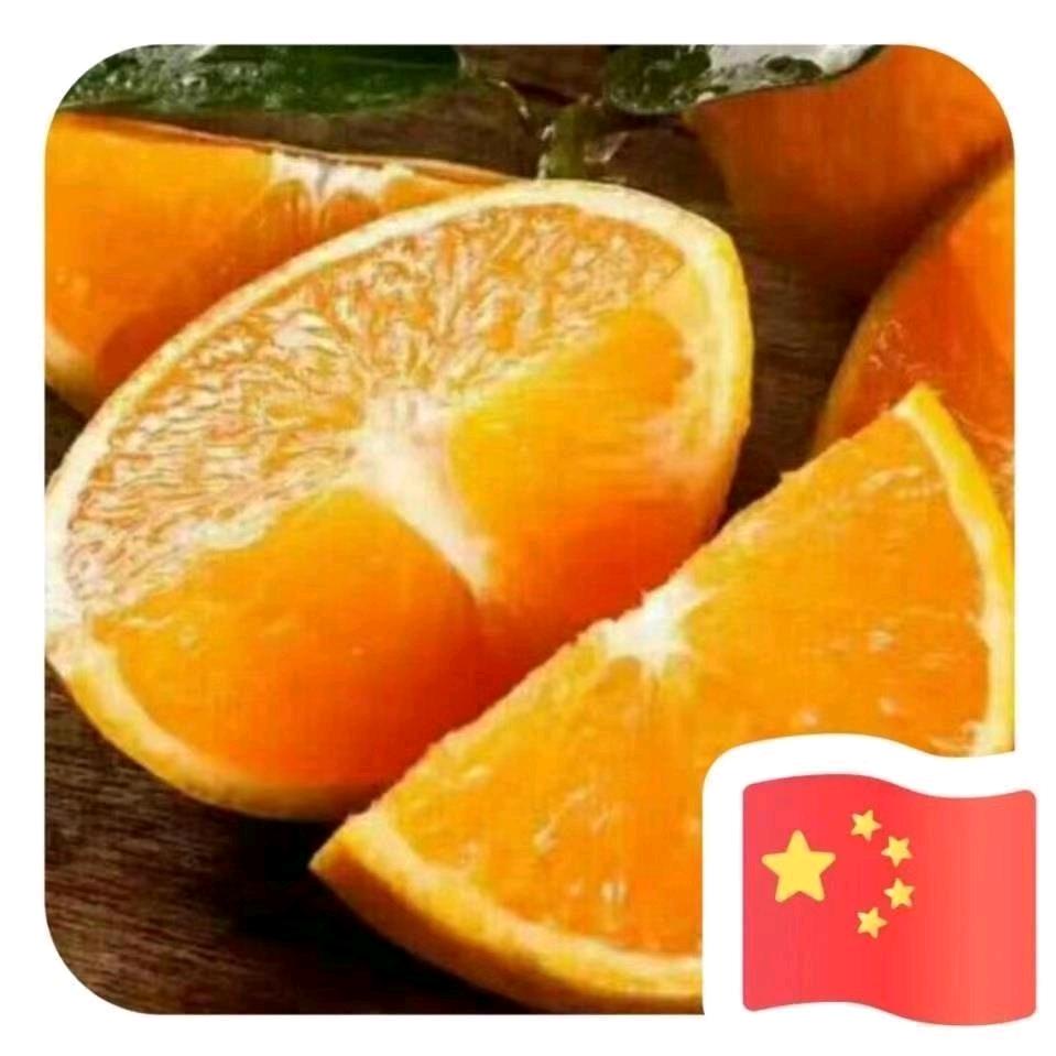 瑞瑞呀