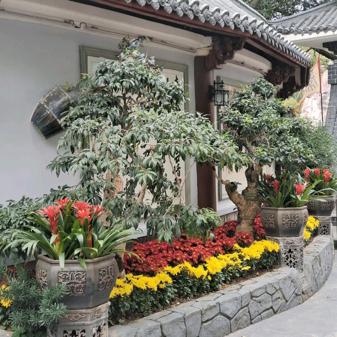 建筑模板木方批发和回收