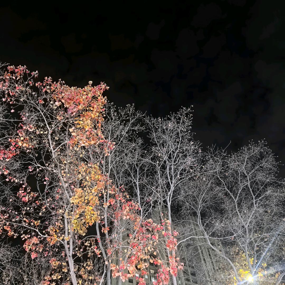 凯迪仕·智能锁(龙达店)大薛