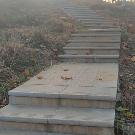 挺好在路上