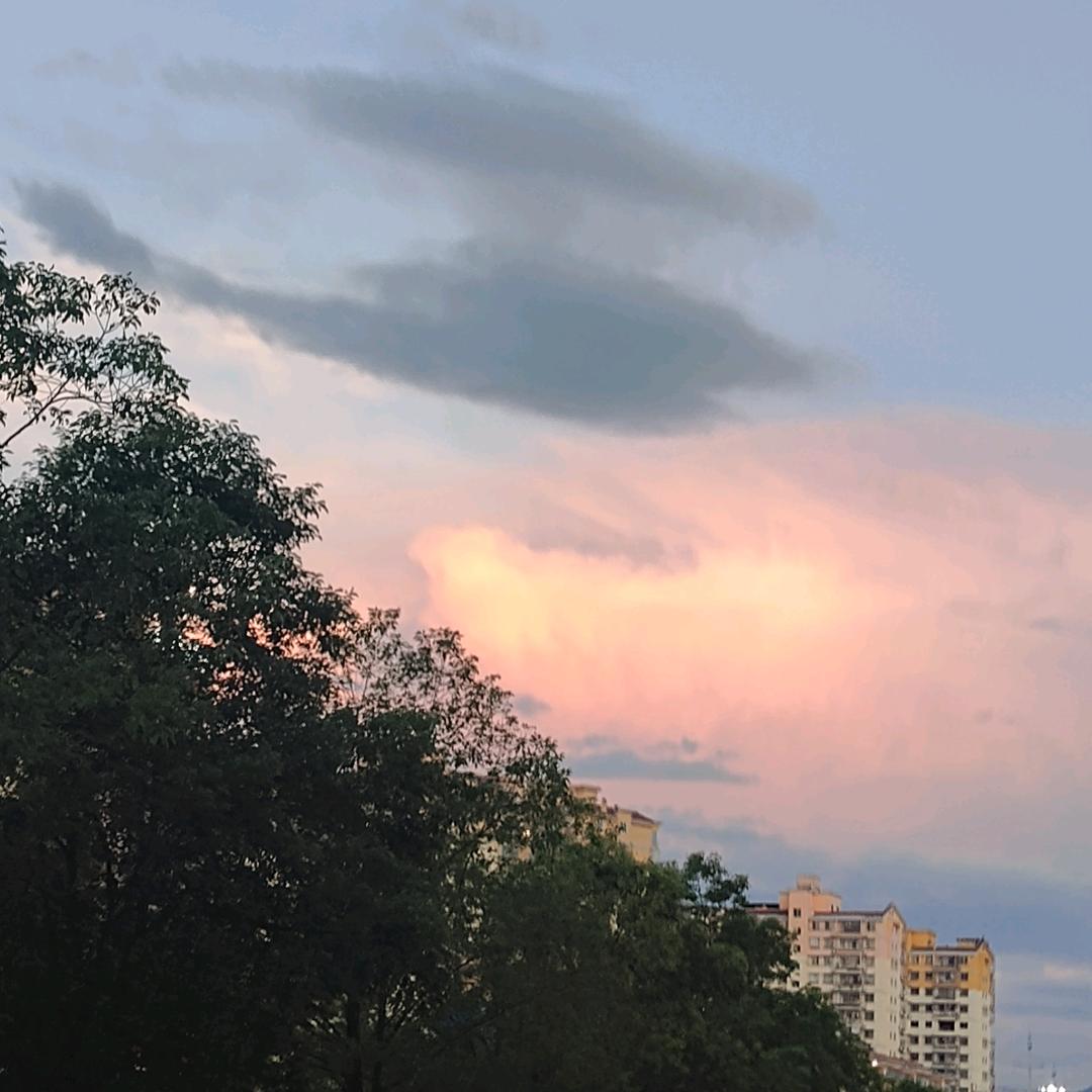 九亿少女的梦。。。。。。。。