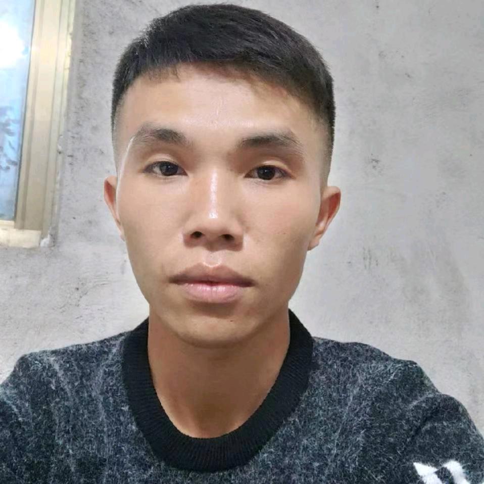 户外找蜂
