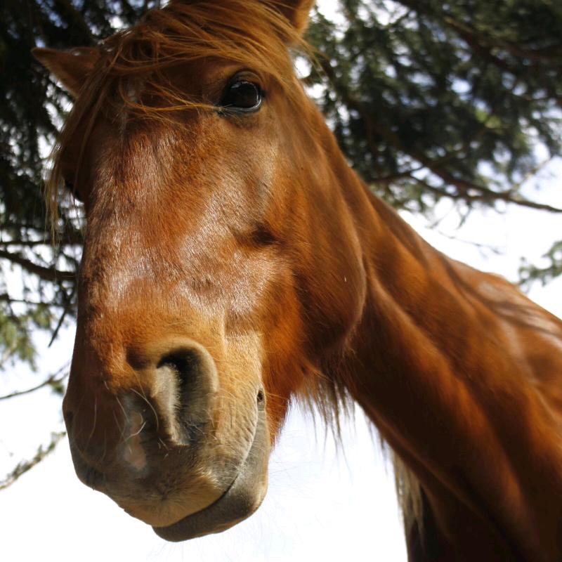 三杯酒下肚，你依旧是我说不出口的秘密