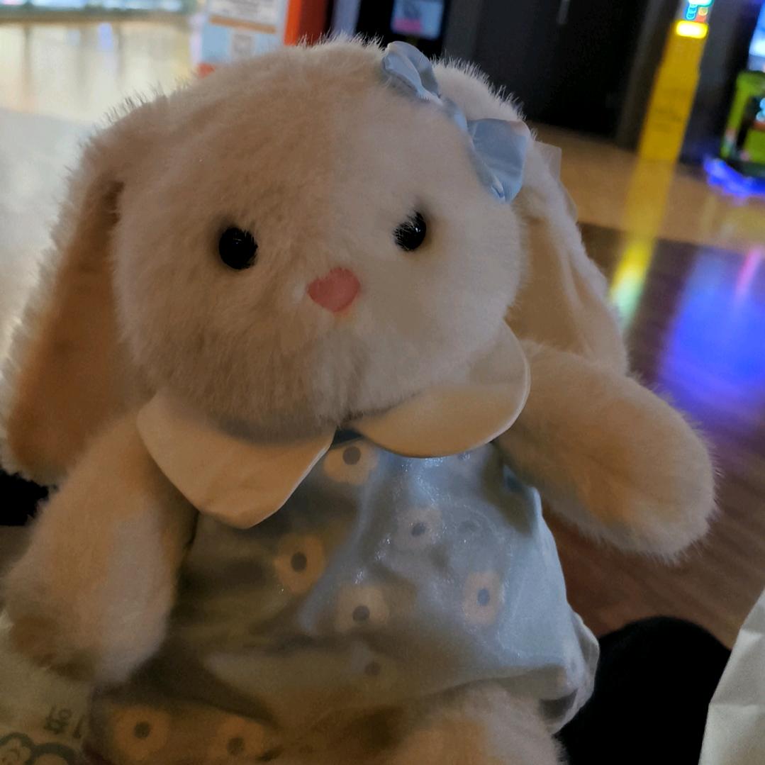 汤圆爱睡懒觉🌈