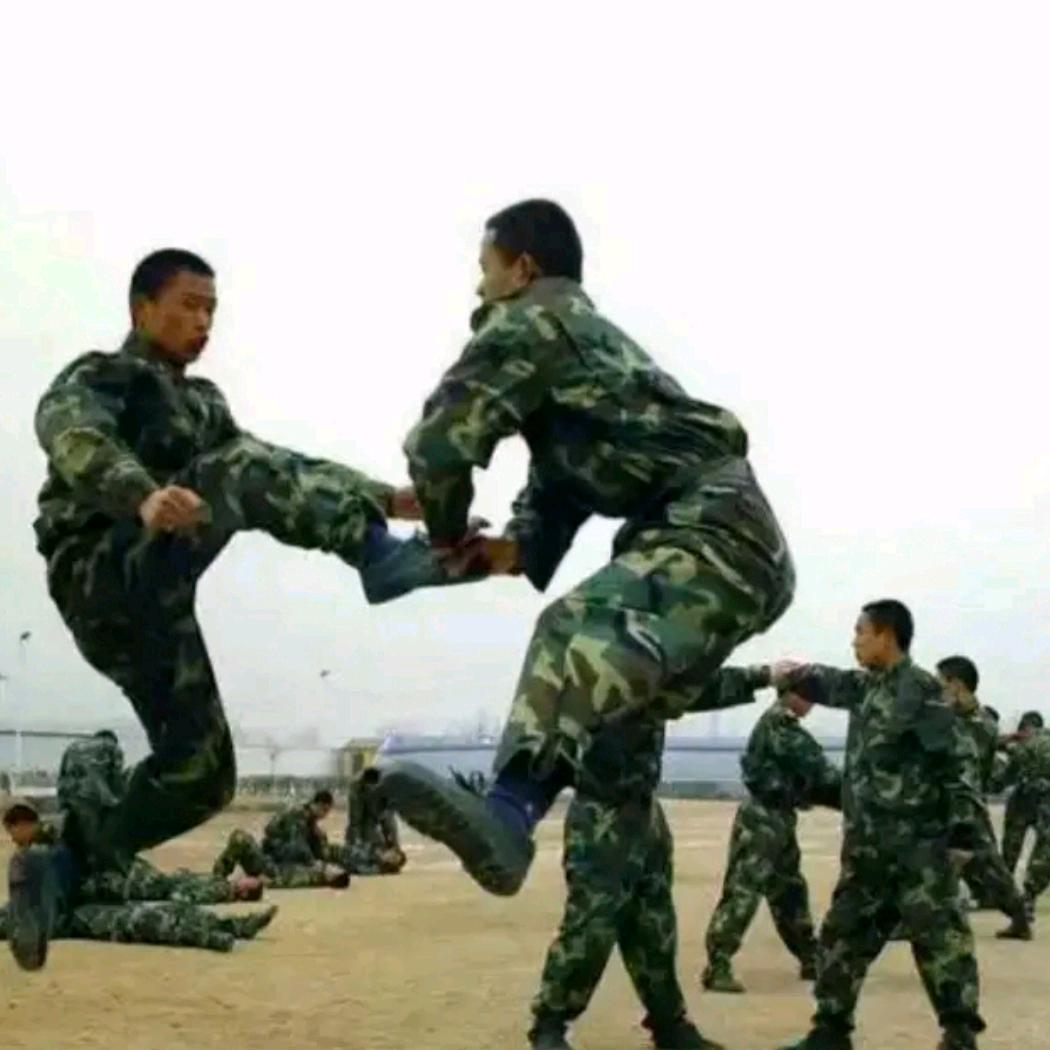 胸纳百川