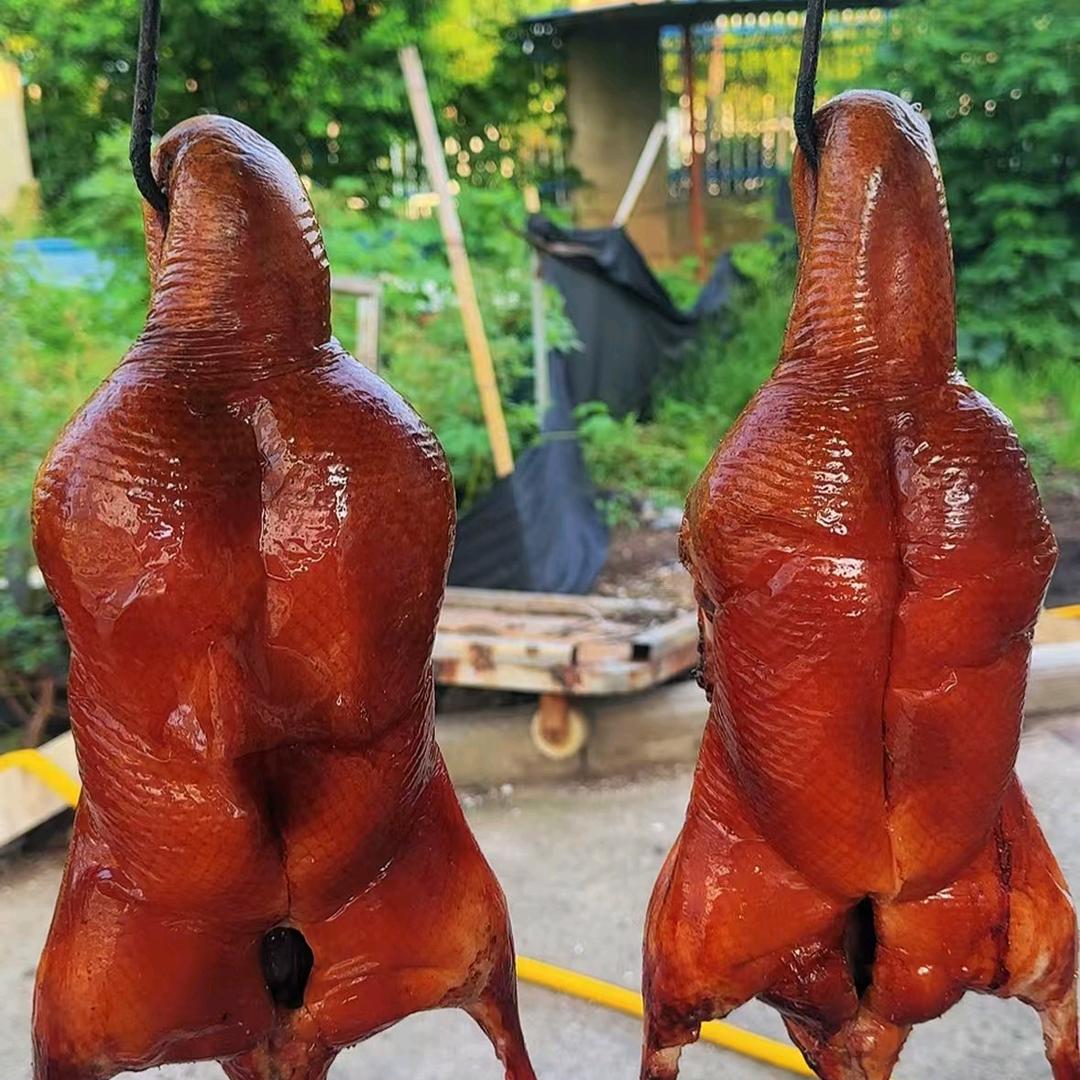 保昌鸭