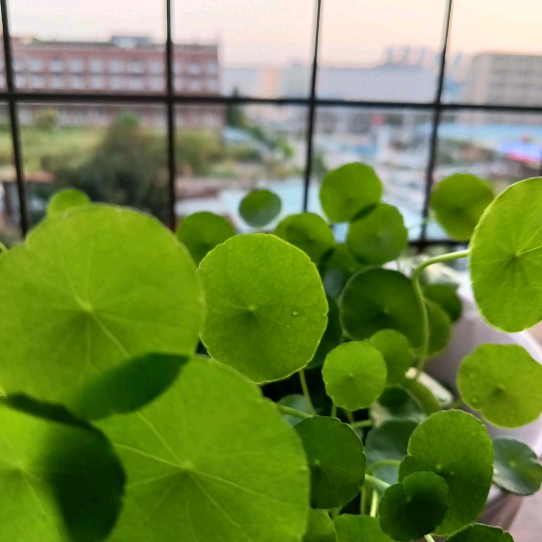 开心快乐