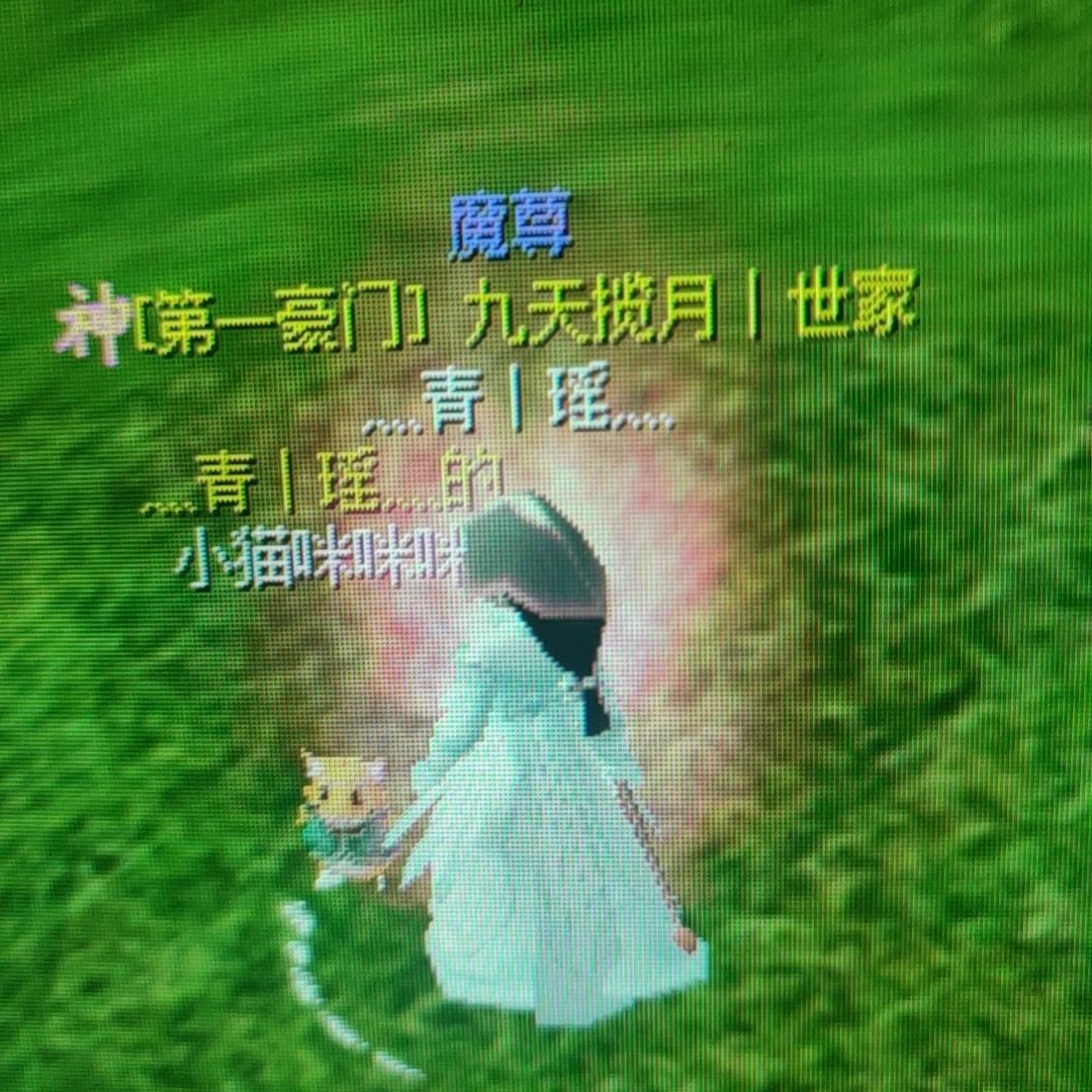 我是青豆呀