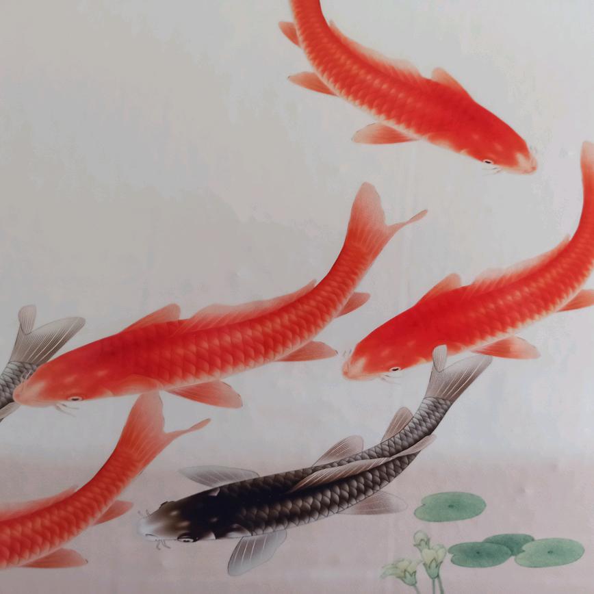 冰冷的鱼🐠