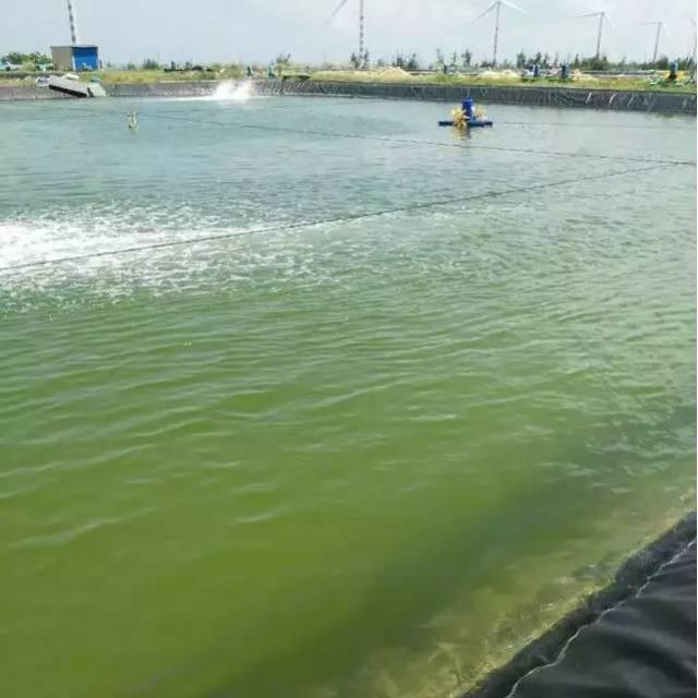 刚哥水产养殖