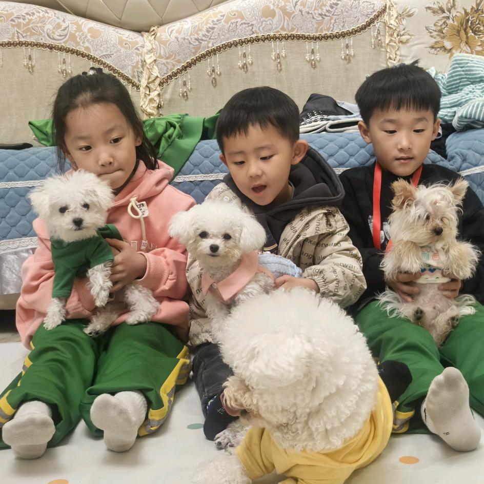 旺旺家族捡到宝