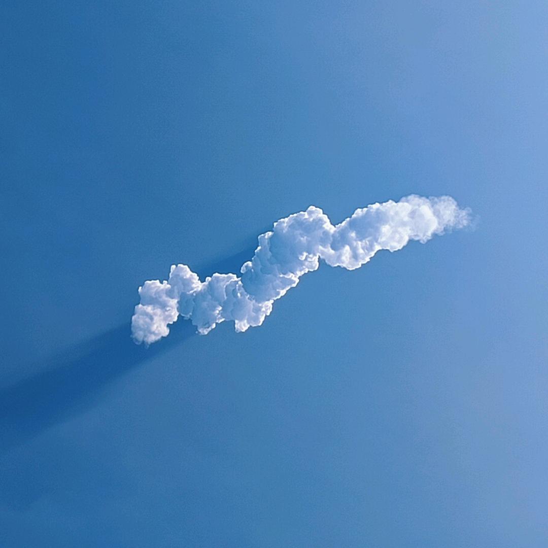 紫晶椛