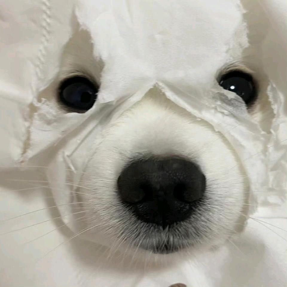 自信快乐每一天（独特版）