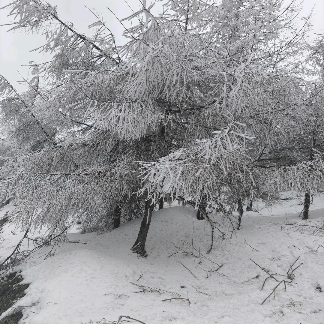 宸馨杰