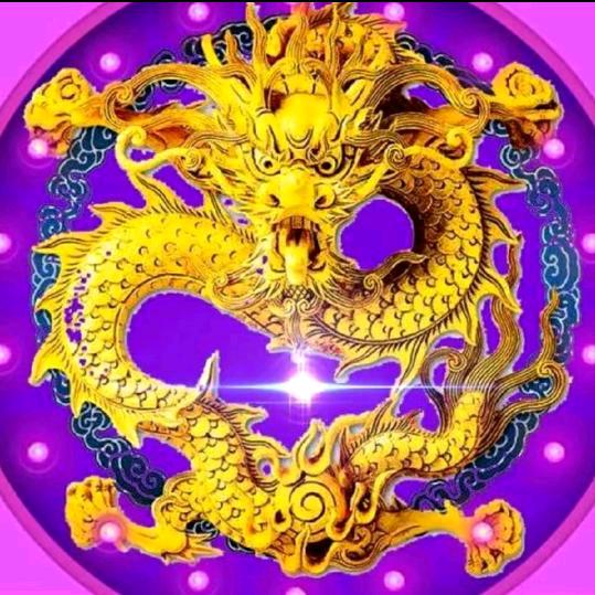 龙哥🐉