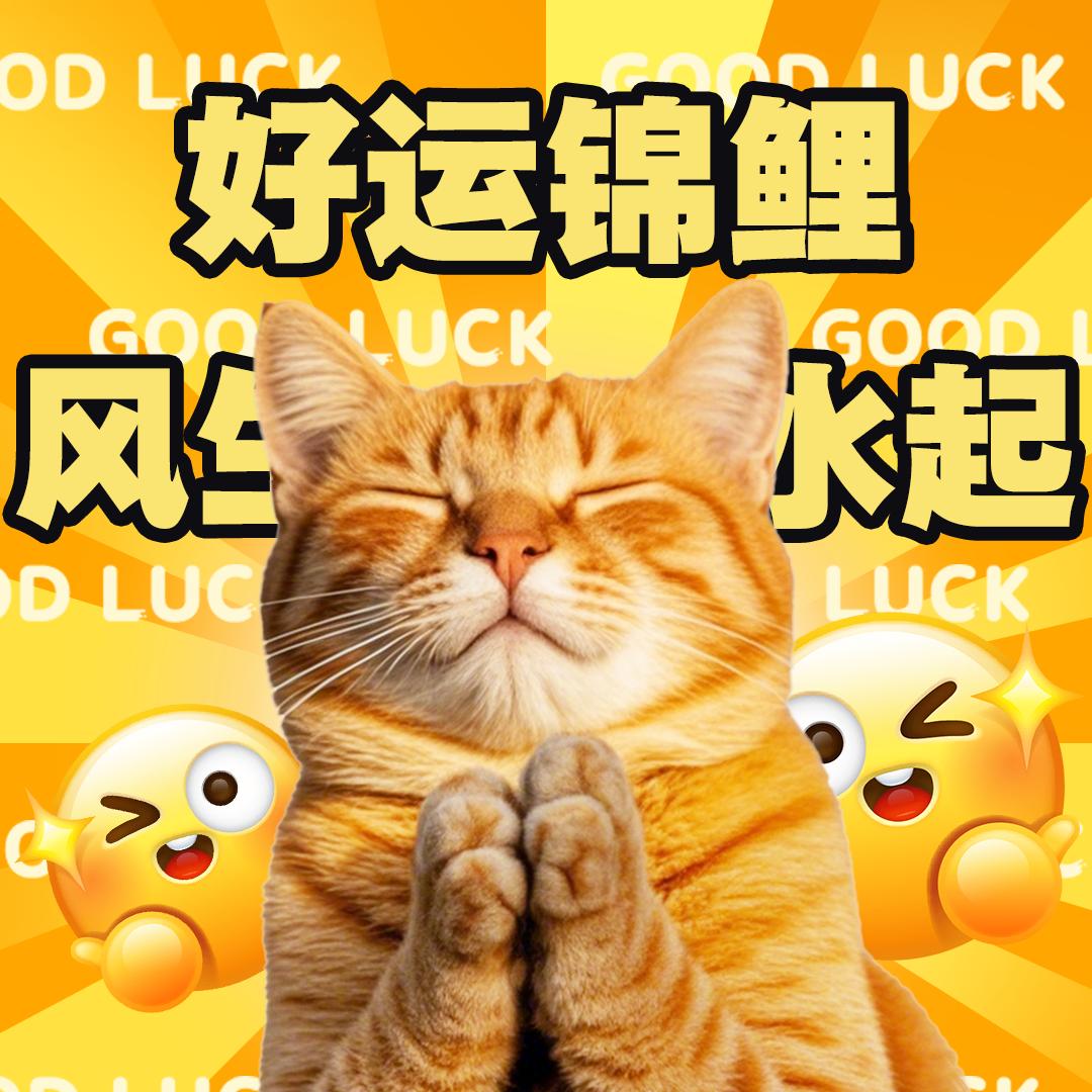 港饮讲食