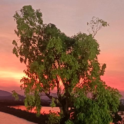 有你相伴，此生无憾