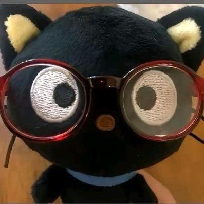 一只小猫