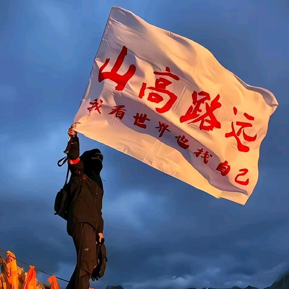 老派Pro